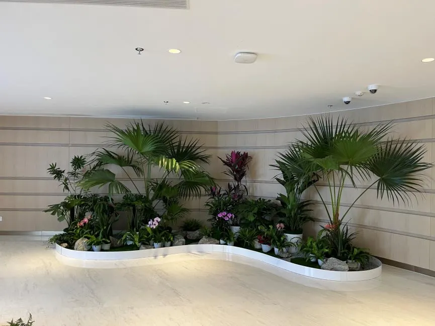 宁波杭州湾花卉租赁哪家好